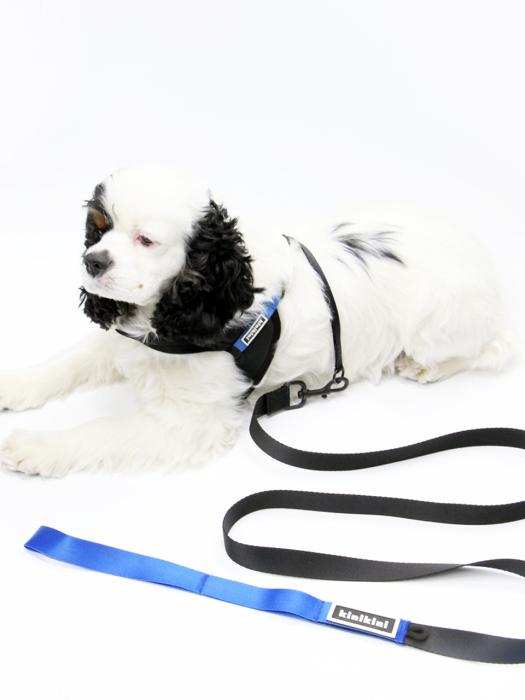KINIKINI KINI SIGNATURE LEASH-BLACK/BLUE (Lead) FREE