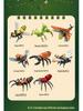 Assembled DIY Insect Building Block Toy Model 59083
