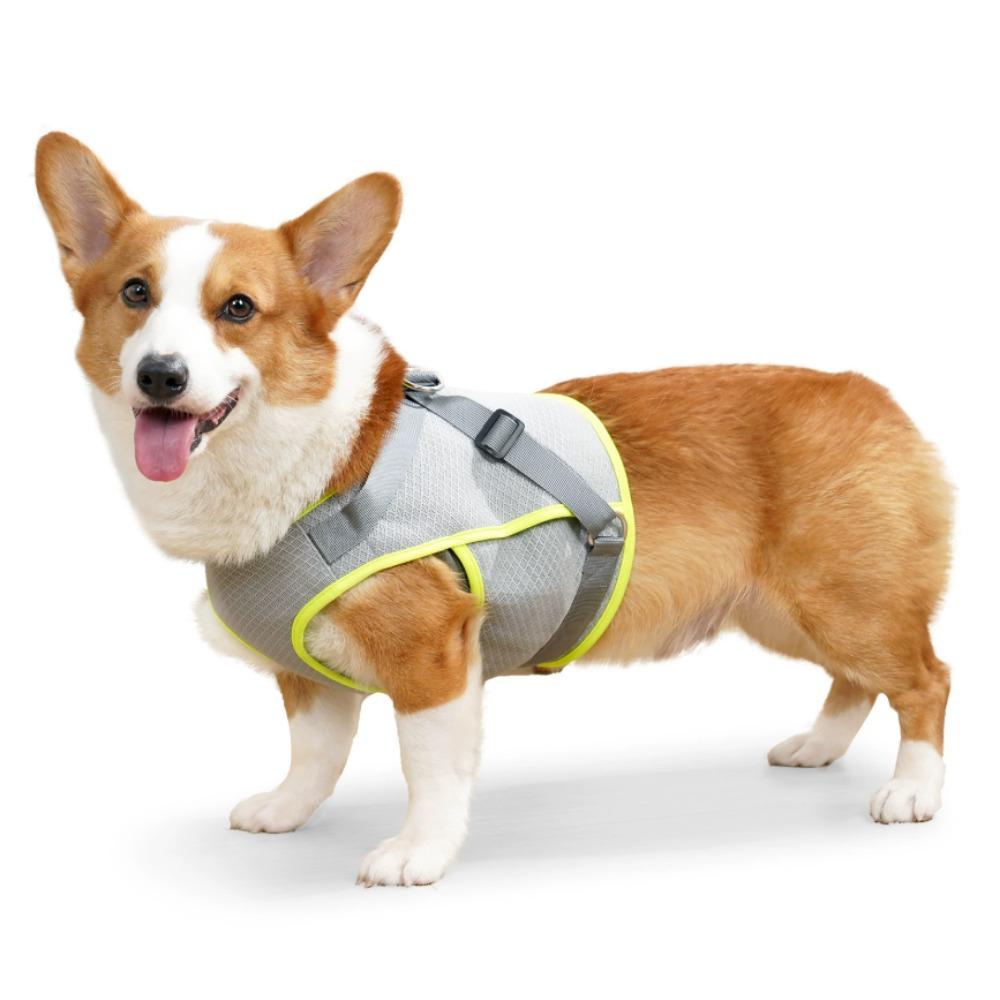 

Летний охлаждающий жилет для собак, дышащая сетчатая одежда для маленьких и больших собак, уличные куртки для охлаждения питомцев, регулируемое пальто-охладитель для собак 8-16kg