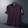 Men's Plus Size Quick-drying Ice Silk Short Sleeve Sports T-shirt