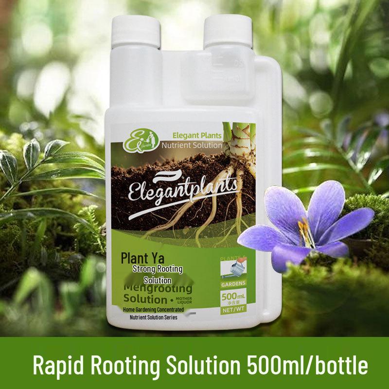 

Rapid Rooting Solution: Powerful Root Growth & Rot Prevention for Transplants and Slow Seedlings