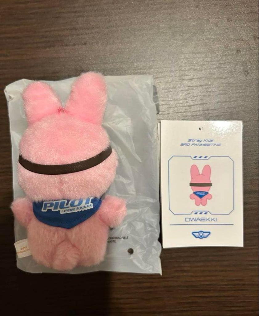 [USED] Changbin SKZOO Toekki Plush Pilot