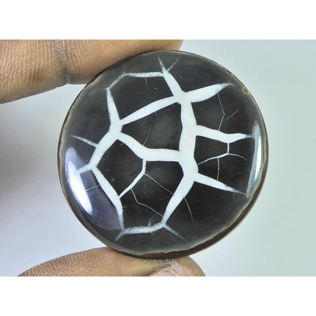 74Cts.Natural Septarian Gronates Round Cabochon Loose Gemstone 39X39X04 MM D-572