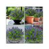 Artificial Monkey Grass And Lavender Plants, UV-Resistant Fake Green Shrub Plants Decoration For Outdoor Hanging Planters, Home Garden