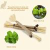 Cat Grinding Teeth Stick Wooden Polygonum Stick Bite Combination New Cat Toy Teeth Grinding Biting Stick Tooth Stain Removal Toy