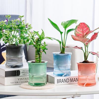Lazy Hydroponic Flower Pot Automatic Water-Absorbing Flowerpot Transparent Double Layer Plastic Self Watering Planter Office New