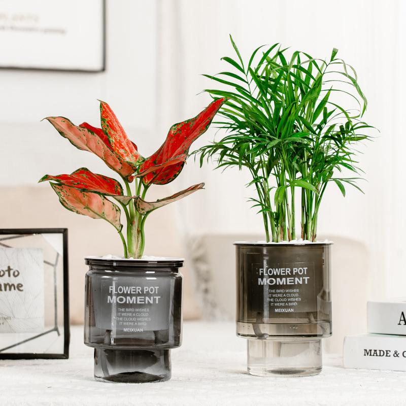 Creative Self-Absorbent Transparent Water Culture Pot Small Potted Plant Ware Office Decoration