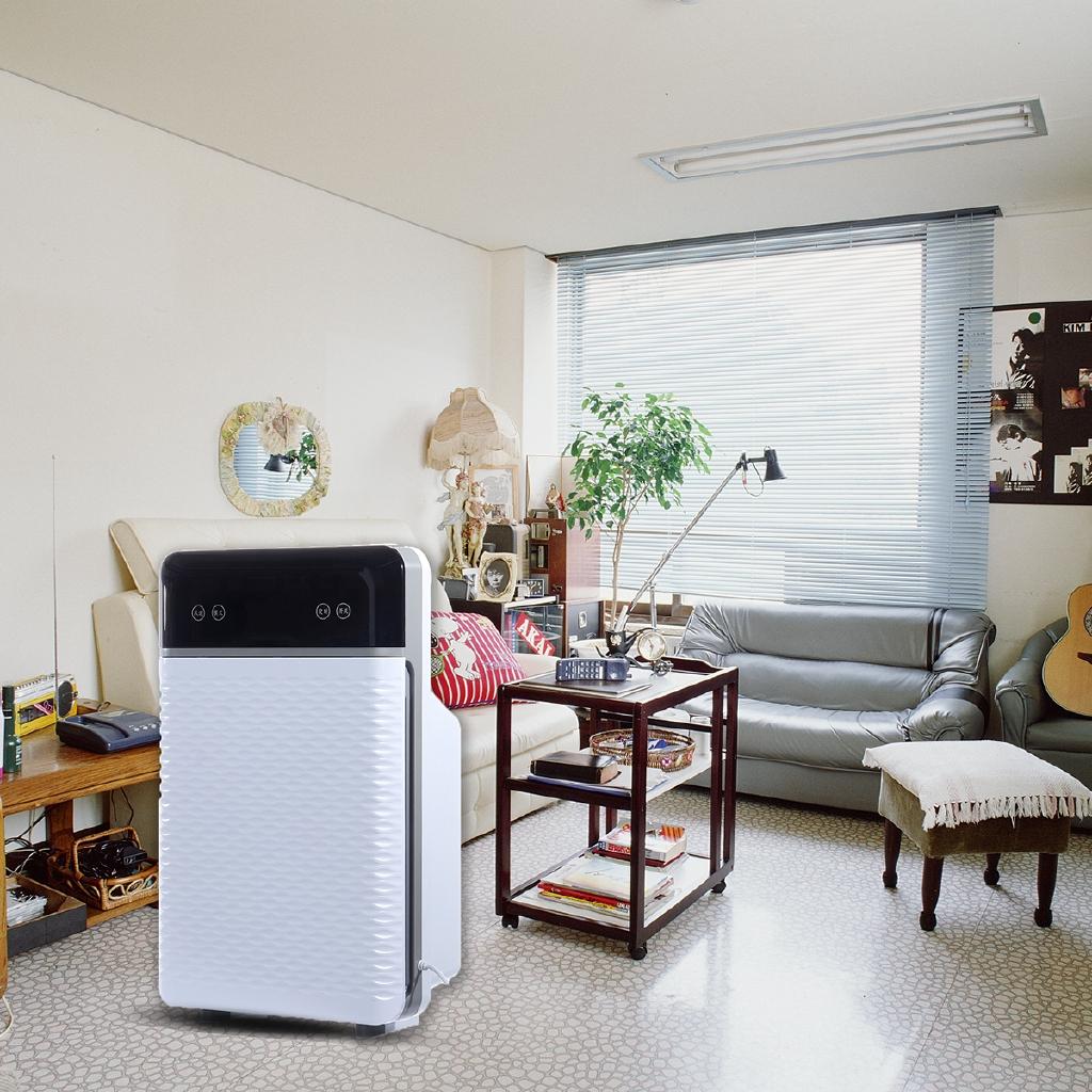 30W Air Purifier Home Negative Ion Indoor Smoke Removal In Addition To Formaldehyde Defogging Odor Removal Odor Purifier
