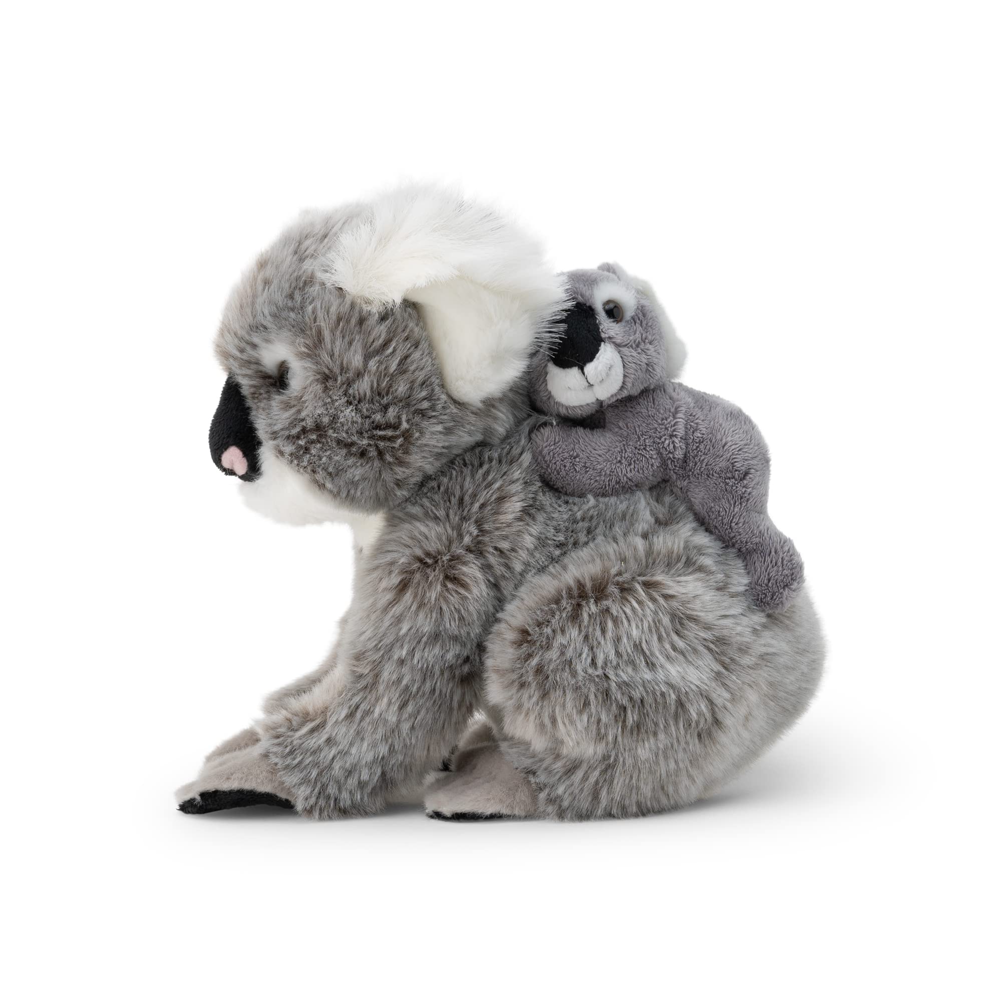 

Koala Plush Toy Parent and Child Koala Animal Plush Toy Tobar Animigos