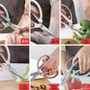 Haoliso Multifunctional Stainless Steel Kitchen Scissors