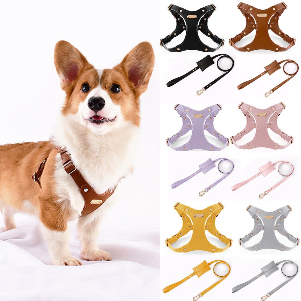 

Soft Leather Dog Walking Harness and Leash set Adjustable No Choke Puppy Vest