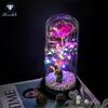 Rose Flower Preserved in Glass Dome with Night Light - Mother's Day or Birthday Gift Ornament