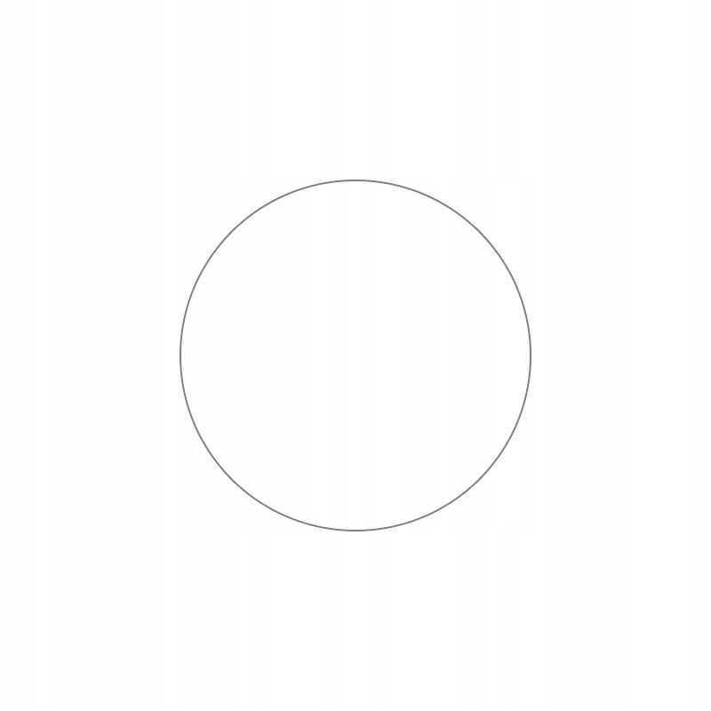 Sc Sw Glass 2.5D Garmin Fenix 5