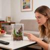 Jumping Spider Bridge Hermit Crab Climbing Enclosure Bridge Swings  Spider/Gecko Jumping stand Climbing ladder for Terrarium