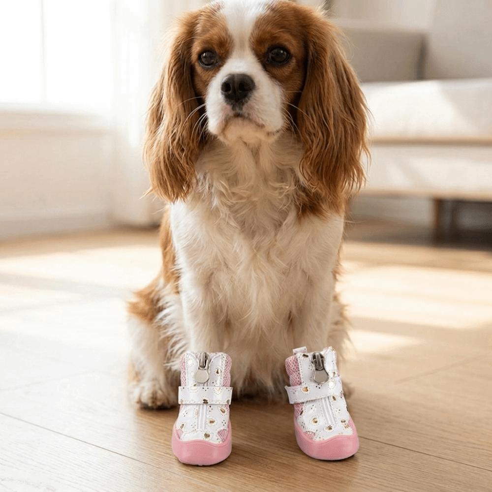 4Pcs Anti-Slip Sole Mesh Dog Shoes Golden Mesh Anti-Slip Dog Booties Outdoor Walking