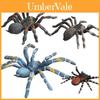 Realistic Wild Insect Model Pack With Static Spiders For Educational Displays And Collection Enthusiasts