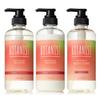 Summer Botanist Shampoo Treatment Body Soap Fruit Tomato Rosemary [2025 Limited] [Moist] [Moist] &