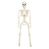 40cm Halloween Bewegliches Skelett Gefälschter Menschlicher Schädel Knochen Halloween Party Heim Bar Dekorationen Spukhaus Horror Requisiten Ornament