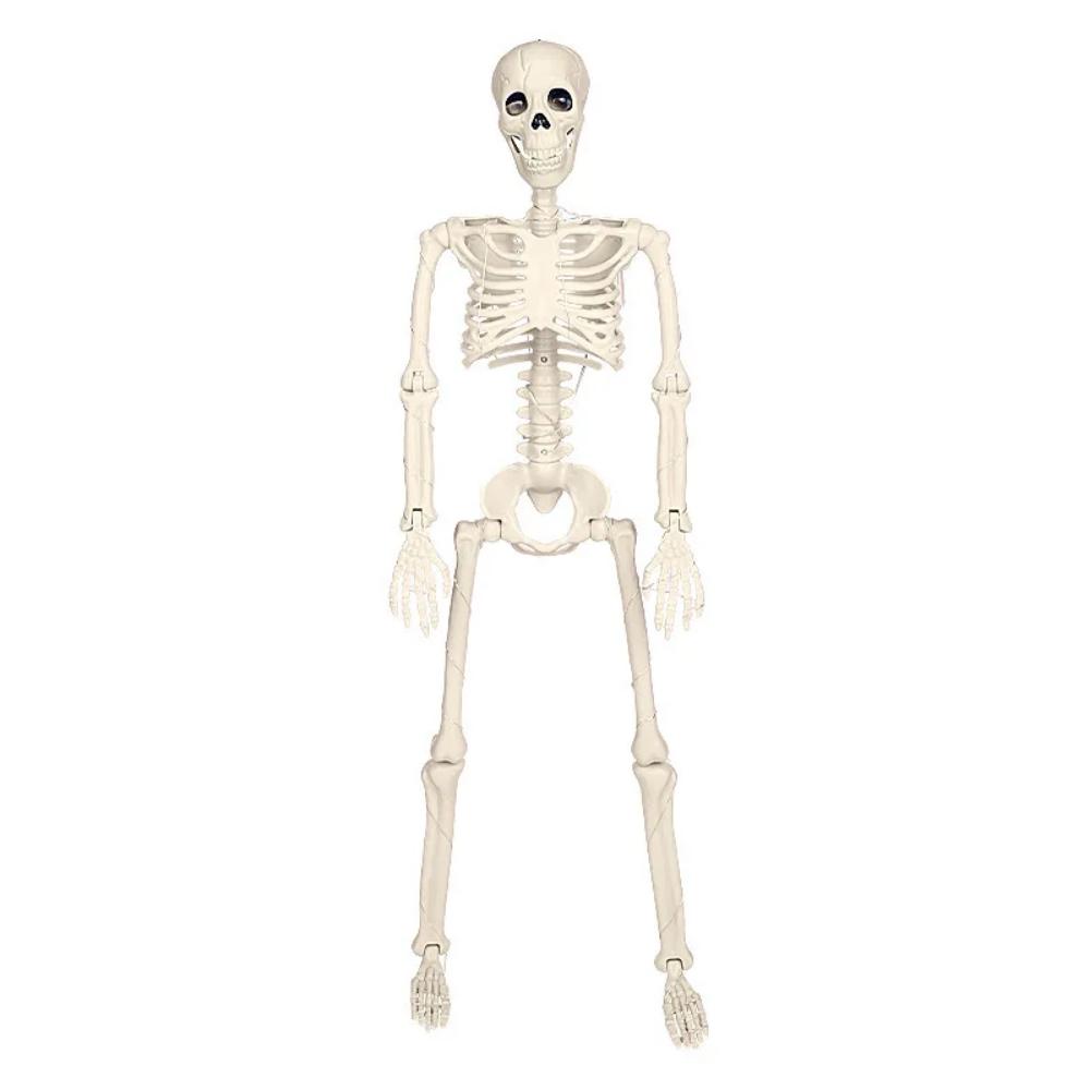 40cm Halloween Bewegliches Skelett Gefälschter Menschlicher Schädel Knochen Halloween Party Heim Bar Dekorationen Spukhaus Horror Requisiten Ornament
