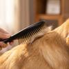 Pet Grooming Brush with Metal Pin Bristles and Comfortable Handle for Effective Hair Removal and Cleaning Suitable for Various Pet Fur Types