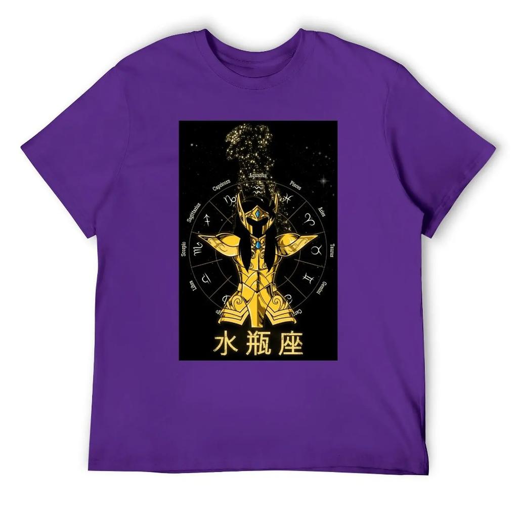 Aquarius Twelve Constellation (15) T-shirt Round Neck Sports Top Tee Premium Home Graphic USA Size