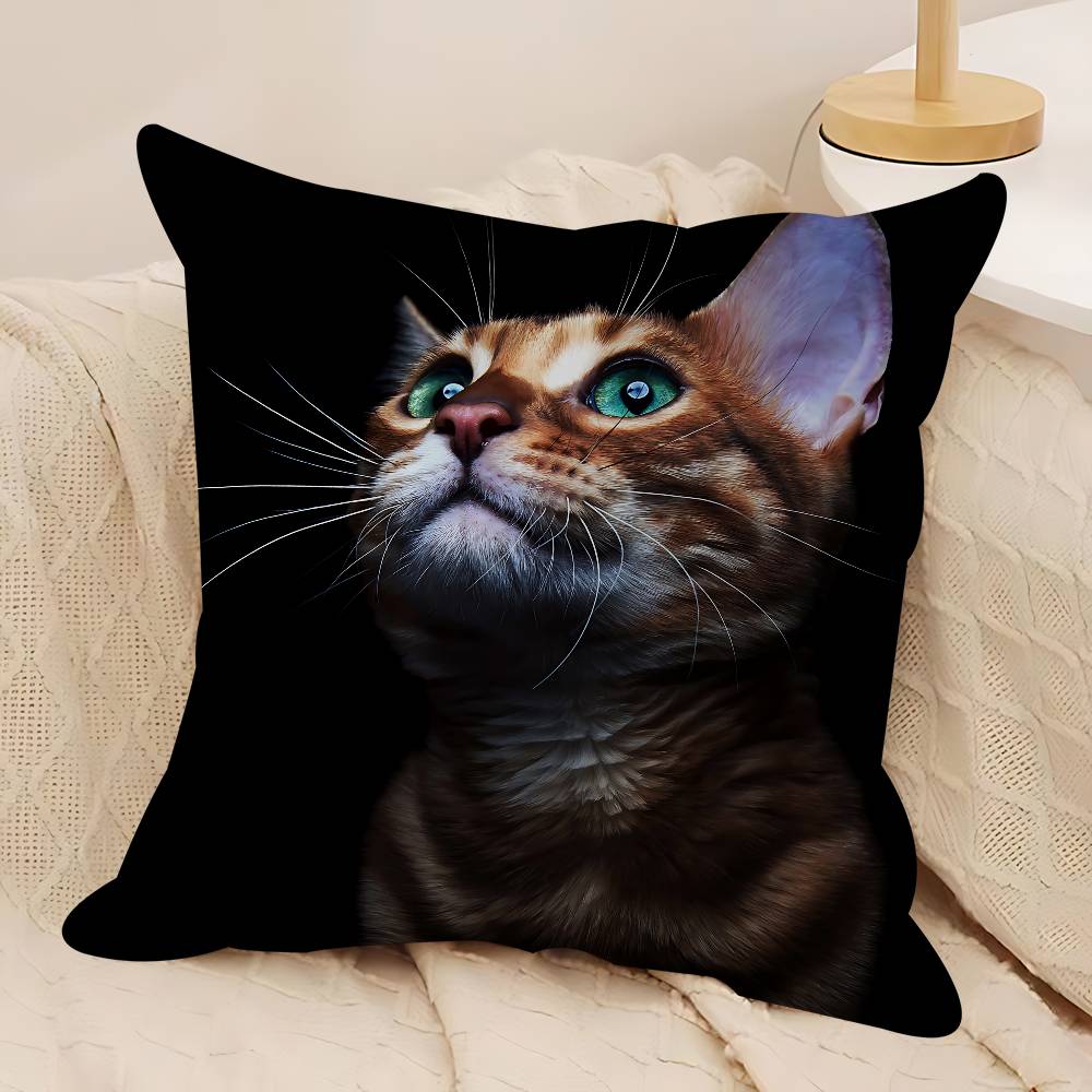 

CUTE Cat Pillowcase Toon Gift Cushion Cover Bedroom Home Sofa Chair Seat Decor Pillow Case 12x12Inch