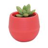 Succulent Pot Mini Seedling Flower Container Plastic Flower Pot for Garden Courtyard Balcony