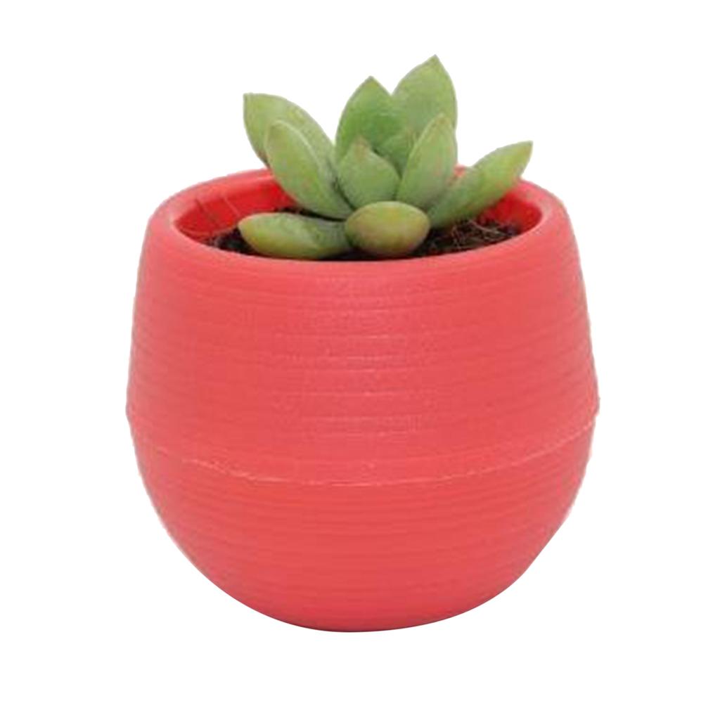 Succulent Pot Mini Seedling Flower Container Plastic Flower Pot for Garden Courtyard Balcony