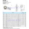 SUS SI Female Thread SA Male Thread Stainless Steel Fisheye Joint Rod Ends Bearings Connecting Rod Universal Joint Ball Head