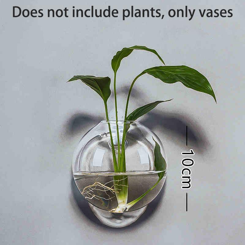 

Wall Hydroponic Vase Wall Hanging Creative Restaurant Wall Decoration Pendant Home Living Room Background Wall Decoration