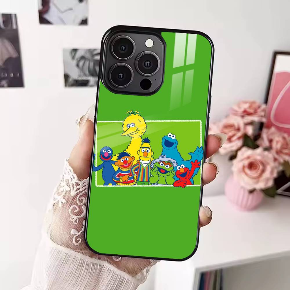

S-Sesame Cartoon S-StreetS Phone Case For iPhone 17,16,15,14,13,12,Plus,Pro,Max for Magsafe Magnetic Wireless Charging iPhone12