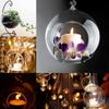 6/12 Stück Hängender Teelichthalter Glaskugeln mit Aufhängeseil Terrarium Klare Vase Hochzeitsfeier Heimdekoration