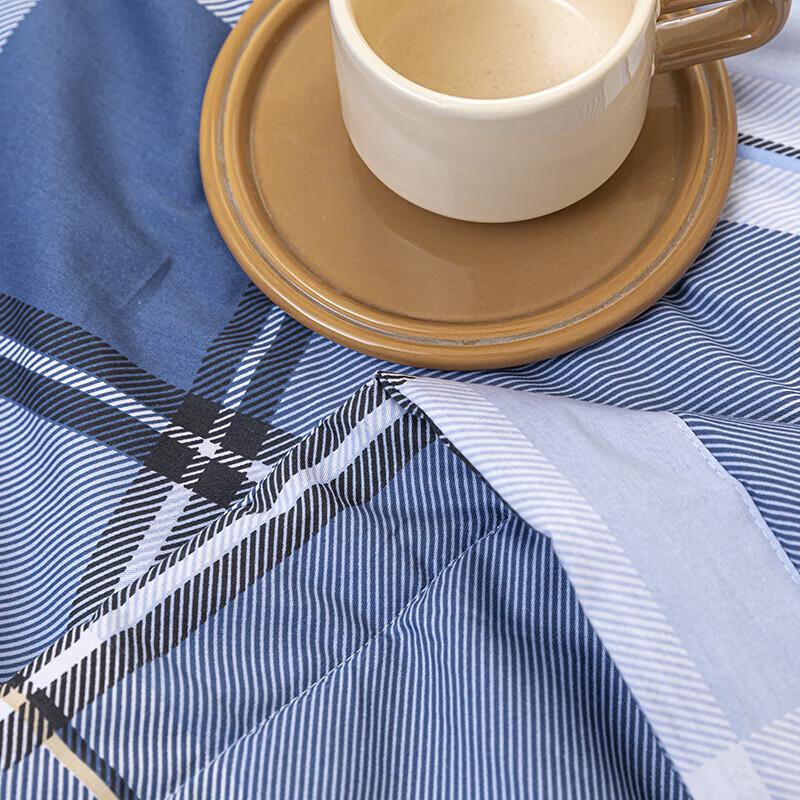 Royal Sleep Home Cotton Checkered Summer Quilt