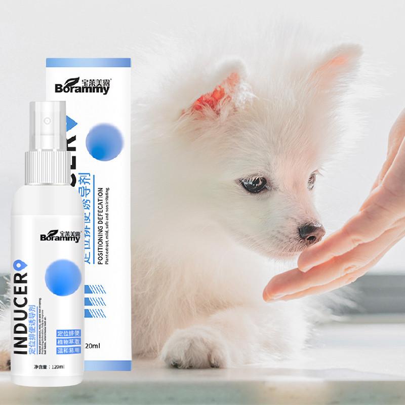 Effektives Stubenreinheitsspray für Hunde zur Standortführung für Urin und Kot