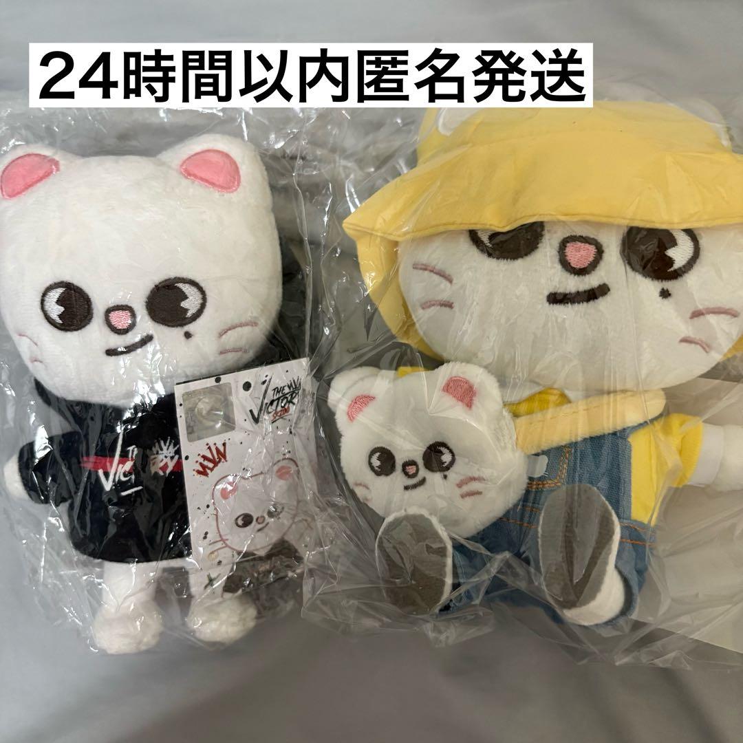 

[Б/У] straykids SKZOO Genielet