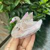Sweet Goldfish Grab Clip Acetic Acid Swan Hair Clip Creative Cartoon Acetate Shark Clip  Female