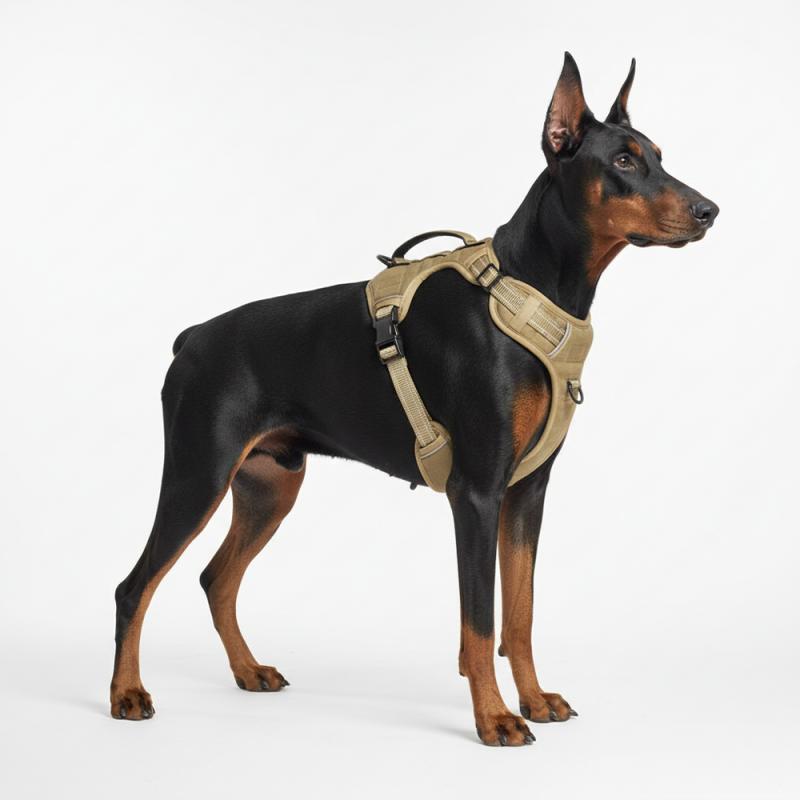 Ein-Taschen-Geschirr für große Hunde (Braun XL)