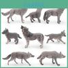 Wild Animal Pvc Gray Wolf Model With Realistic Design For Childrens Educational Play