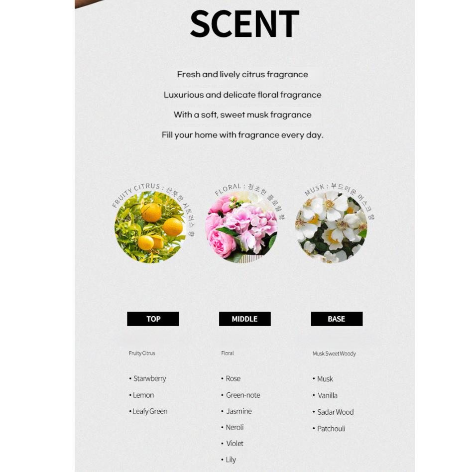 Mielle Moist Ringer Pack 250g