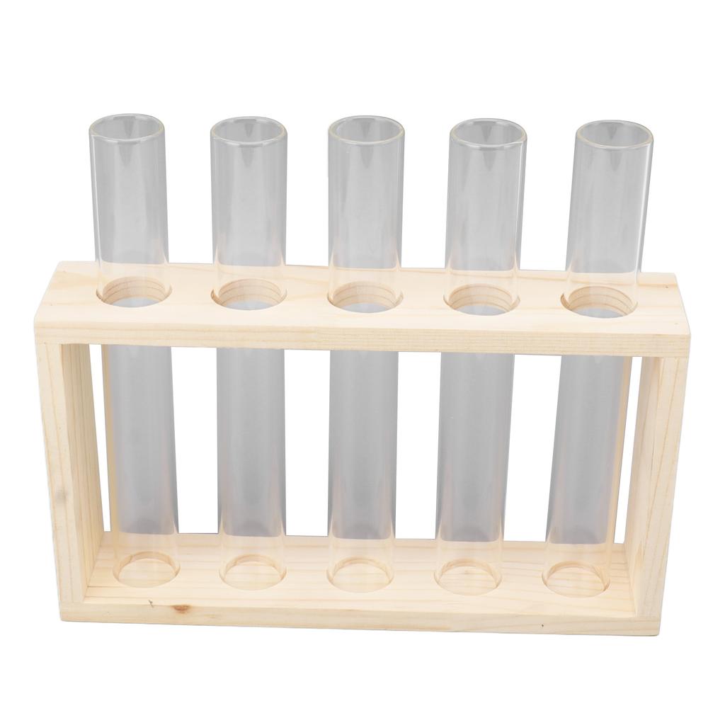 5 Test Tube Plant Terrarium Transparent Observe Growth Status Water Plant Holder with Wooden Stand for Herbs