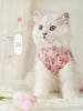 Summer Thin Cat Vest: Anti-Hair Loss Blue Kitten Clothes for Cute Cats