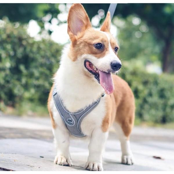 Commli Reflective Mesh X-Type Harness Set for Dogs, Gray