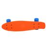 Complete Fish Skateboards for Beginners Kick Skate Board for Boys Girls Kids