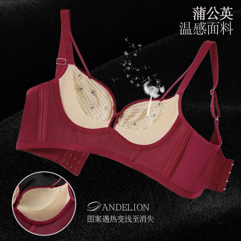 9811 Women's Sexy Seamless Underwear Gathers Without Collapsing Cup Fixed Pull Comfortable Bra Without Steel Ring Large Chest Small
