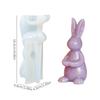 Creative Embossed Pattern Bunny Tray Mold 3D Design Reusable Resin Molds Eco-Friendly DIY Cake Tray Mold Home Decor