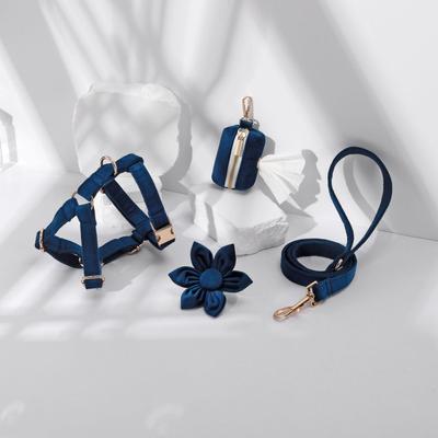 Set Collare e Guinzaglio in Velluto Regolabile per Cani - Accessori per Animali Domestici per Viaggi Sicuri