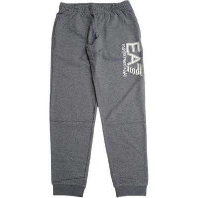 Internal Drawstring Cuffed Knit Joggers Men Bottoms Gray 6DPP87-PJVRZ-3925