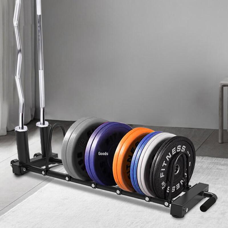 Barbell Plate and Olympic Bar Storage Rack