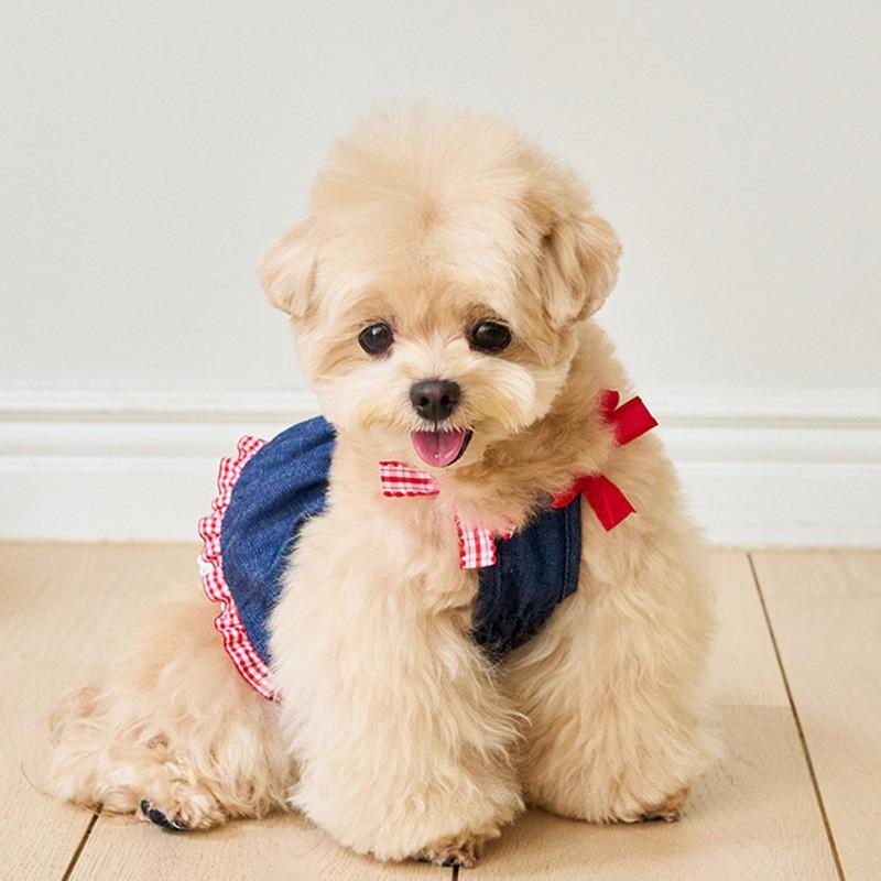Classic Denim Dog Dress Teddy Bichon Female Dogs Pet Clothing