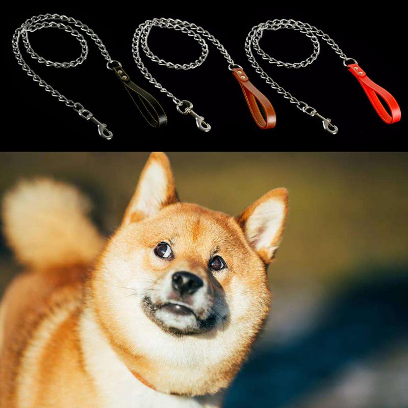 bite proof dog lead